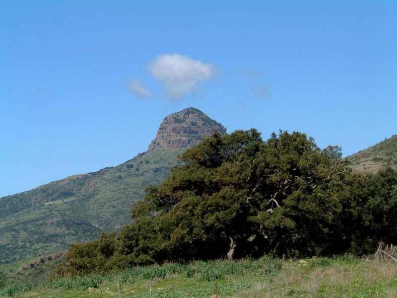 Turismo Rurale La Miniera Fiorita Arbus Exterior foto
